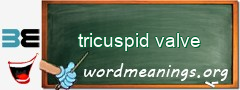 WordMeaning blackboard for tricuspid valve
